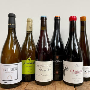Festive wines for festive moments